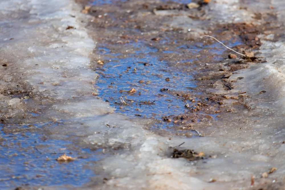 Eine Pfütze, die sich durch die Schneeschmelze in der Einfahrt bildet